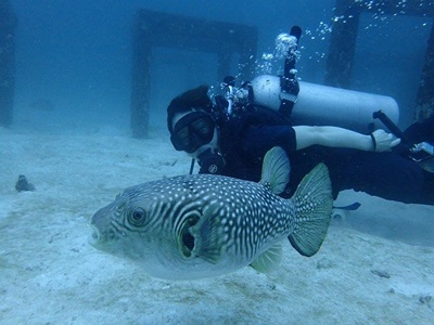 20227036_10213822711341935_835819134_n[1]