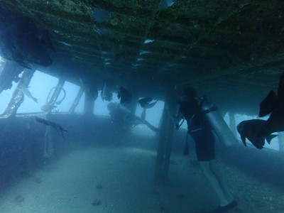 OLYMPUS DIGITAL CAMERA