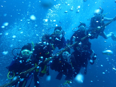 OLYMPUS DIGITAL CAMERA