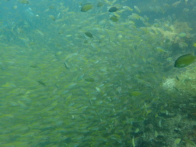 31369675_10216433543611110_182141909391638528_n