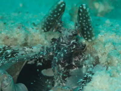 31369734_10216433541331053_2924557984782614528_n