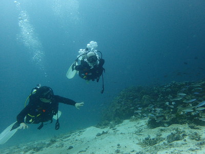 31392137_10216433546331178_7133637673008234496_n