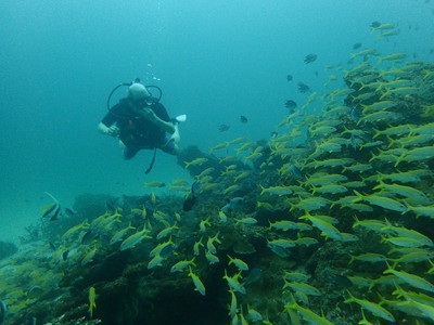 31433431_10216433543211100_6300880687255781376_n