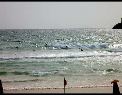 p1020500-12 p1020500-12